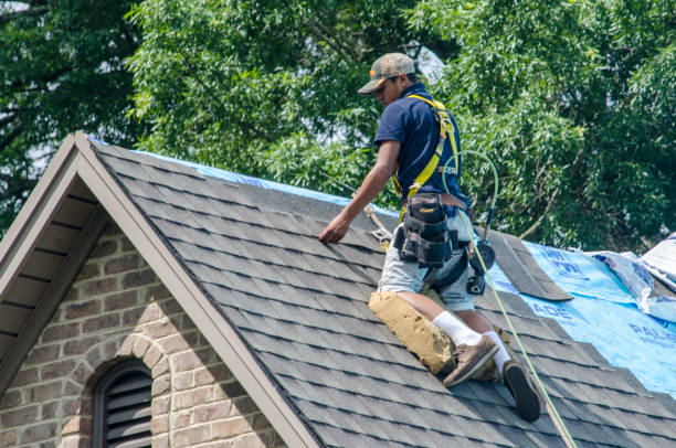 Quick and Trustworthy Emergency Roof Repair Services in Lewisburg, PA